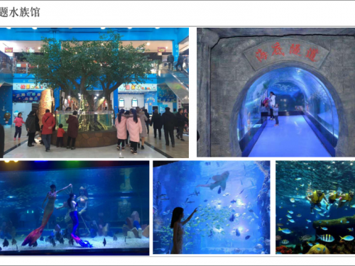 主题海洋馆