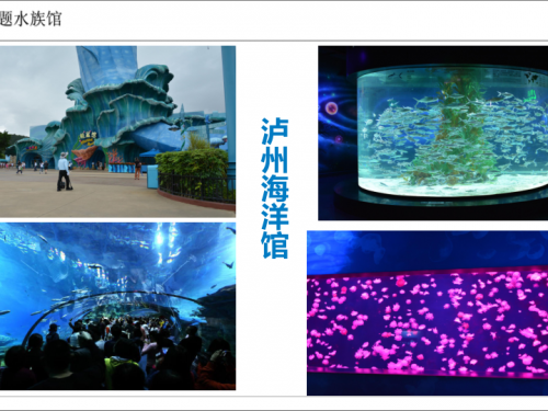 主题海洋馆